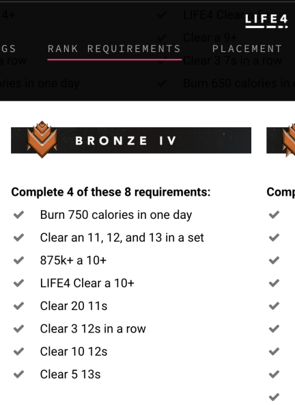 Bronze IV Website