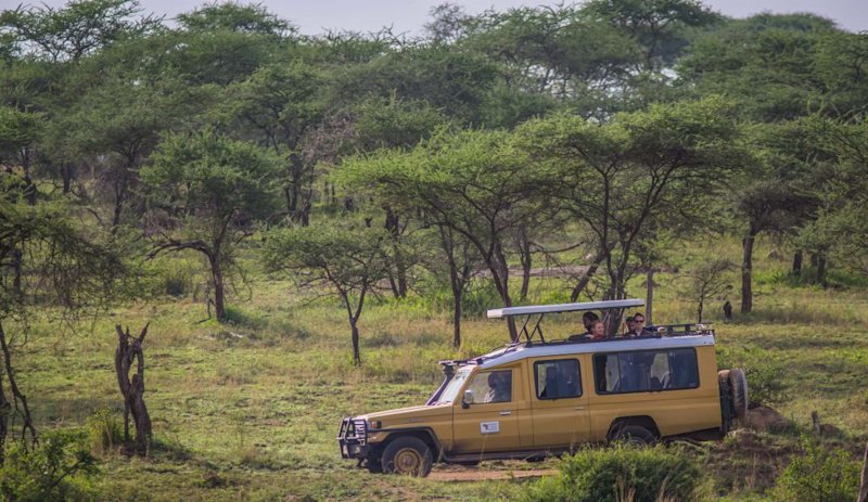 Safari vehicle in the Serengeti, what is the Serengeti famous for?