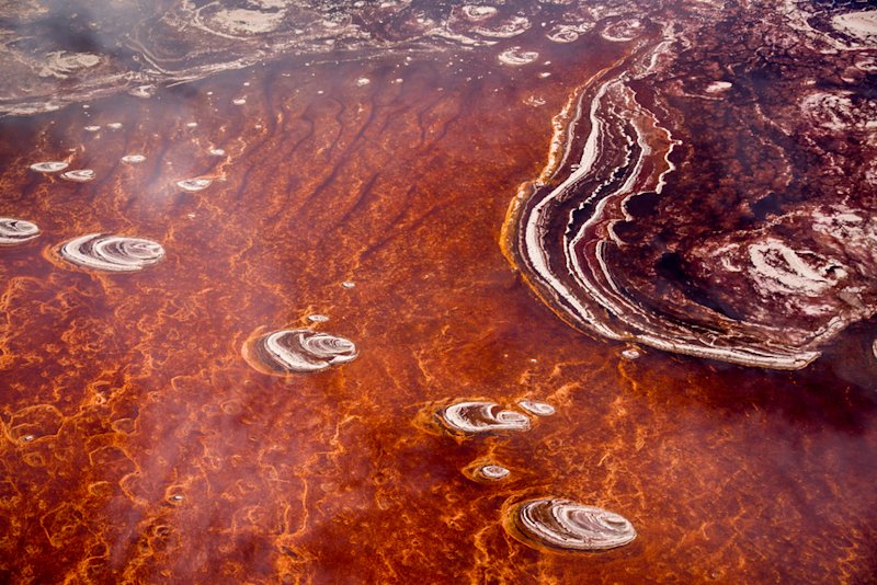 The red algae and white salt formation of Lake Natron