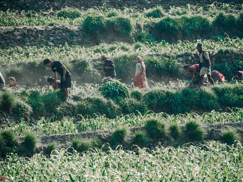 Nepal Farming in annapurna Circuit