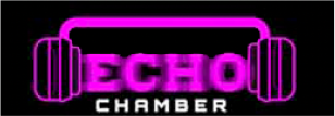 virtual - echo chamber logo