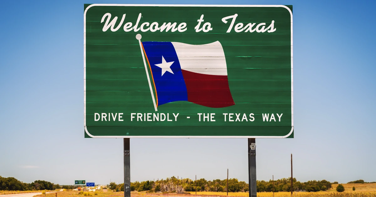 LLC Texas - Swyft Filings