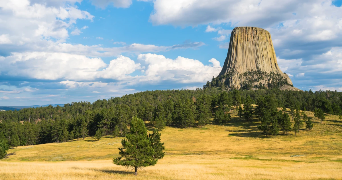 The Devils Tower landmark in Wyoming | Swyft Filings