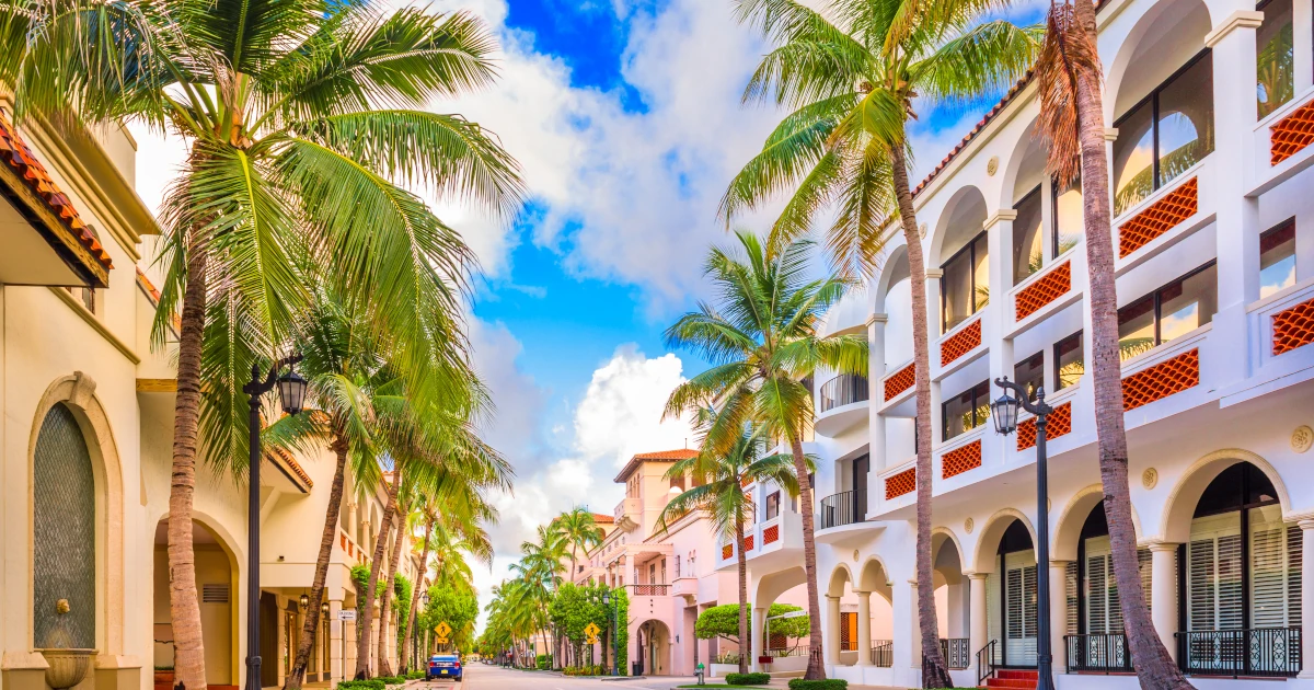 An avenue with palm trees in Palm Beach Florida | Swyft Filings