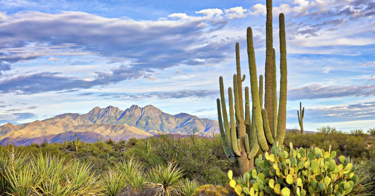 Arizona Four Peaks