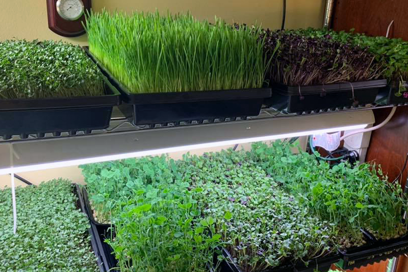 Reference Image Reference Image