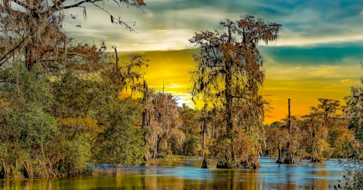 A swamp in a Louisiana bayou | Swyft Filings