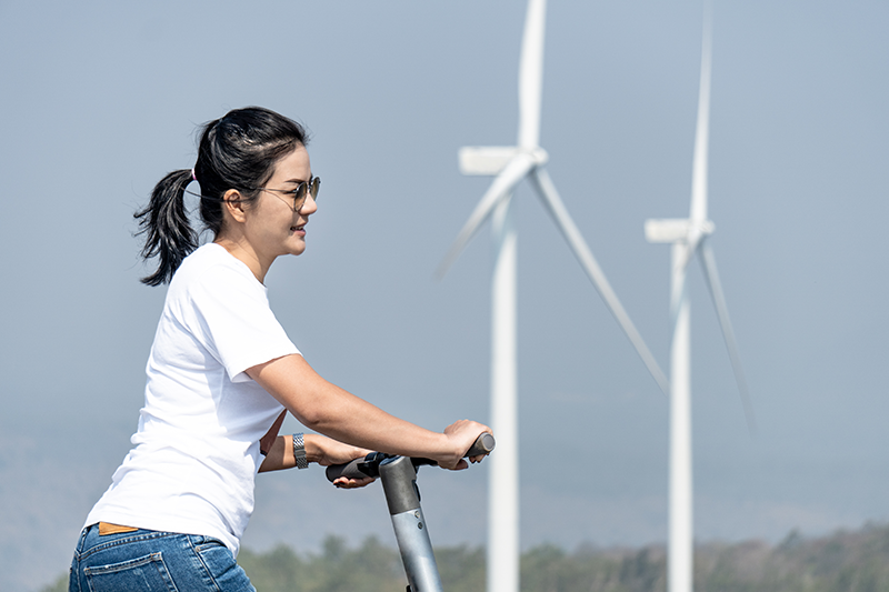 Reference Image Reference Image