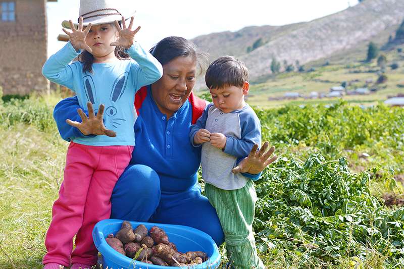 Reference Image Reference Image