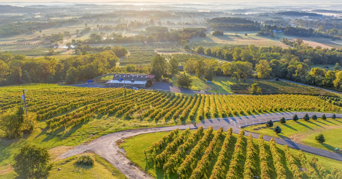 A view of vineyards in Virginia | Swyft Filings