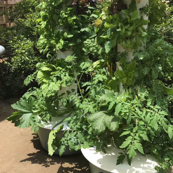 Reference Image Reference Image