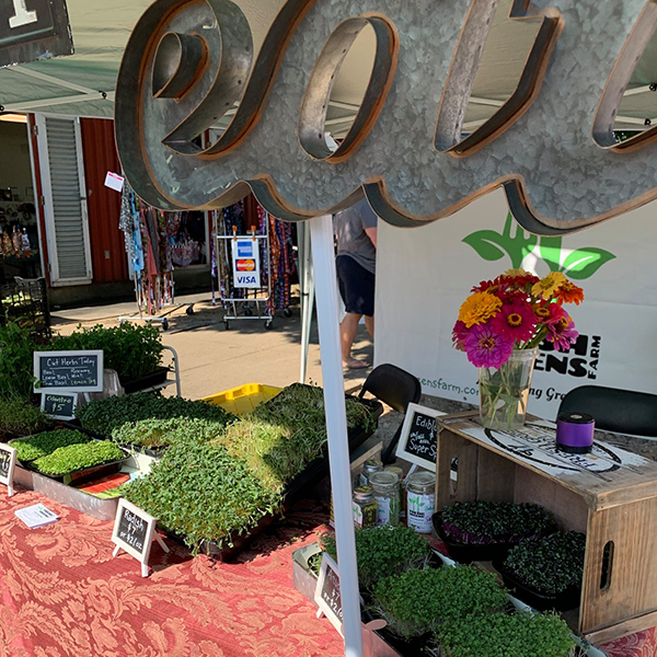 Reference Image Reference Image