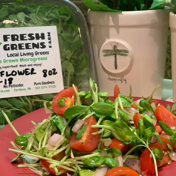 Reference Image Reference Image