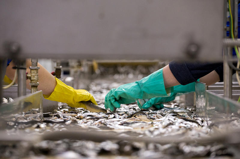 Reference Image Reference Image