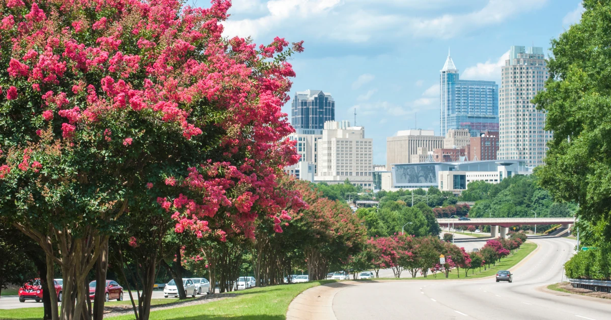 Crepe Myrtle trees in Raleigh, North Carolina | Swyft Filings