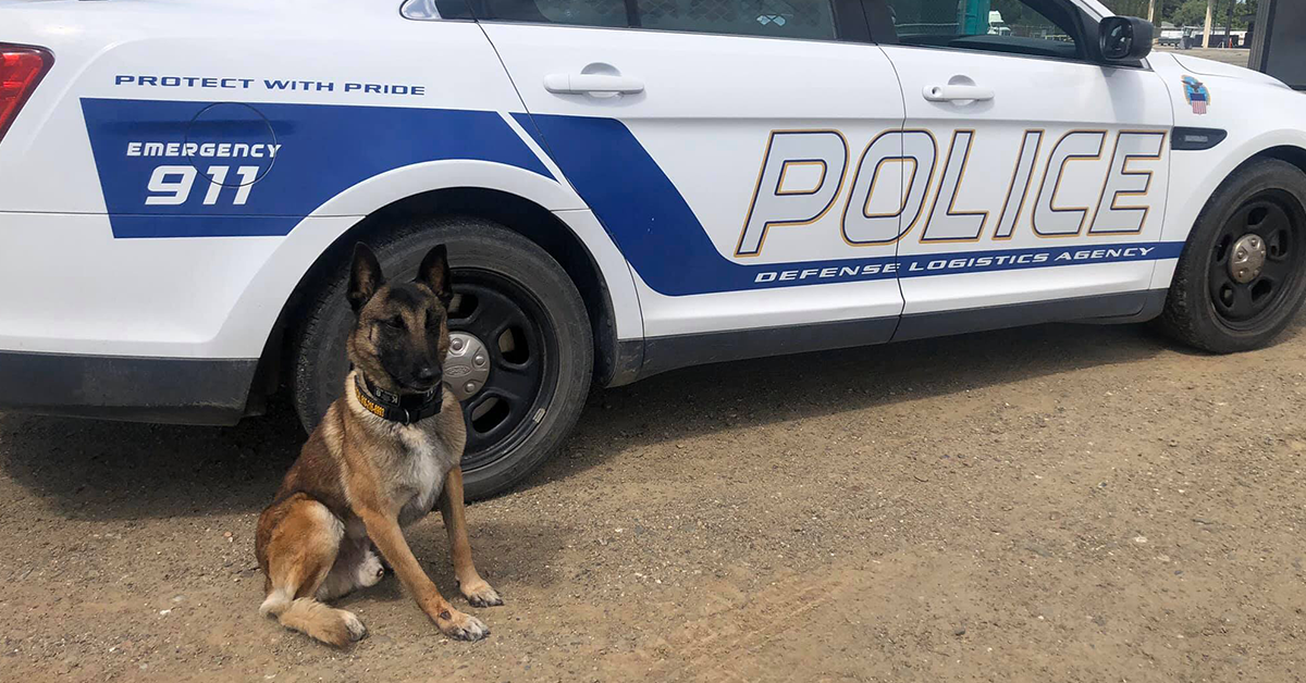 Reference Image Reference Image