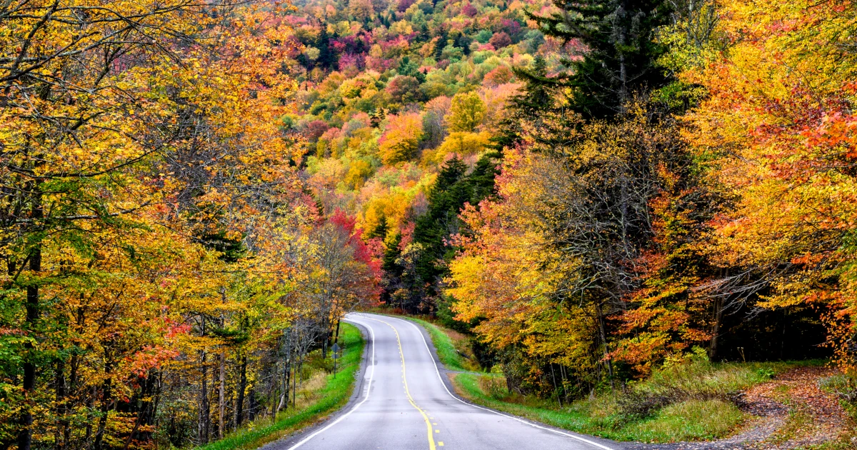 Winding road in West Virginia forest in the fall | Swyft Filings