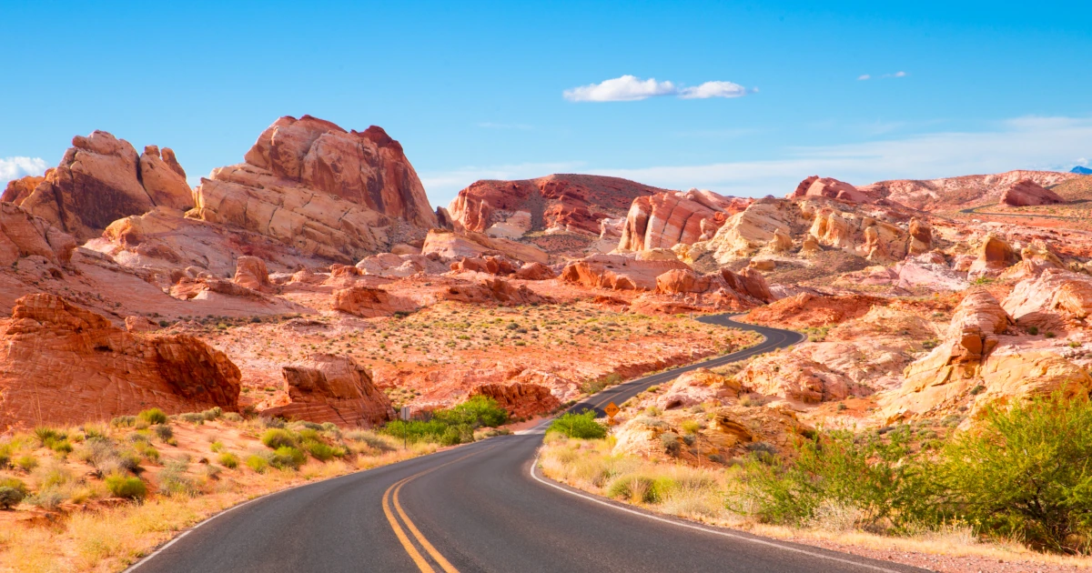 Road going through the Nevada Valley of Fire | Swyft Filings