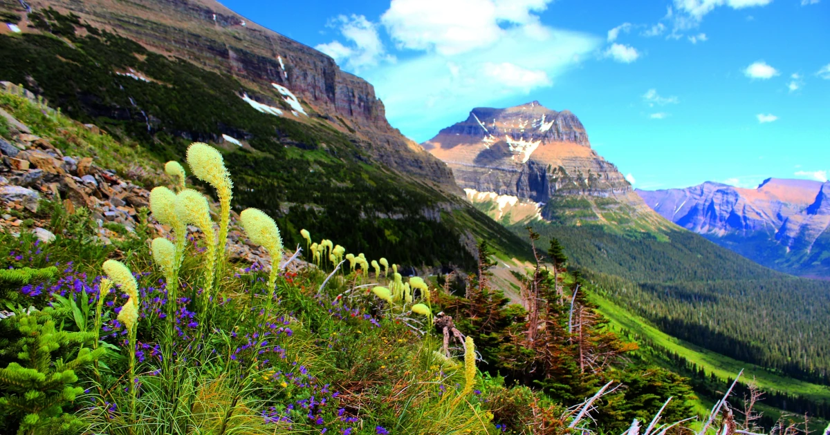 Montana Glacier National Park | Swyft Filings