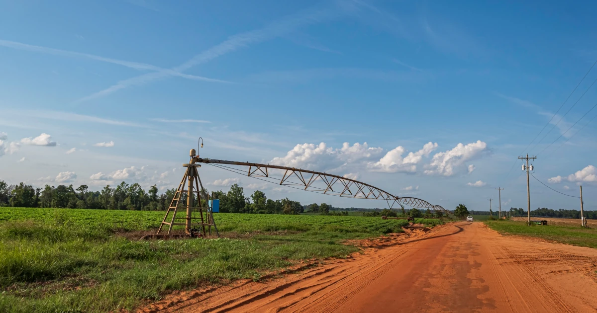 A peanut field in South Georgia | Swyft Filings