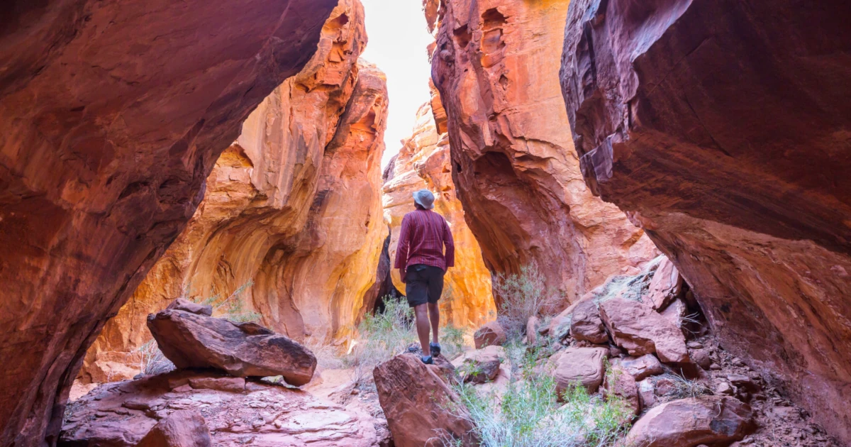 Hiker in the rocks of Utah | Swyft Filings
