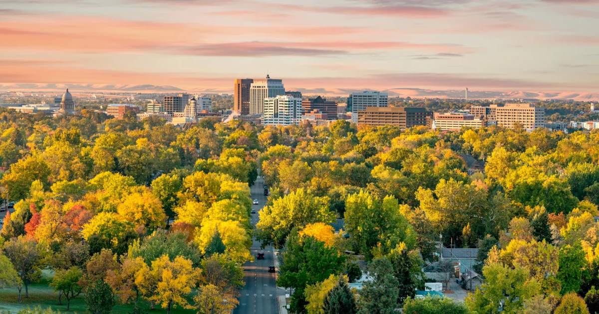 Downtown Boise, Idaho seen amongst trees | Swyft Filings