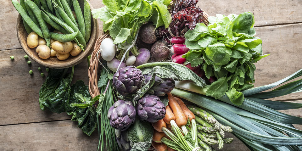 Fruits et légumes Bio