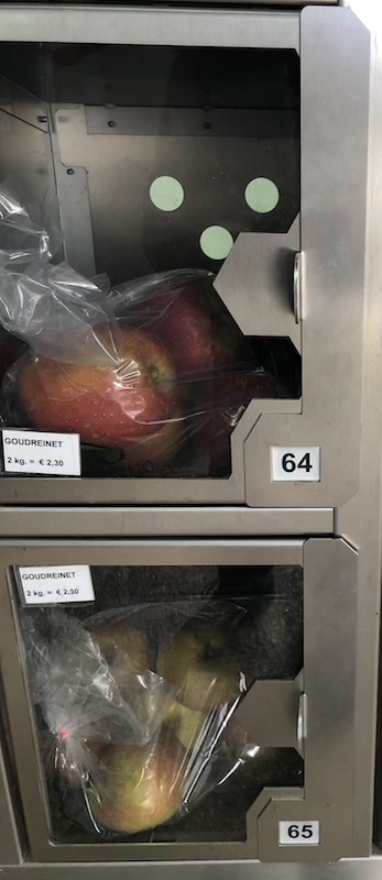 goudreinet-appel-van-kat-angelino