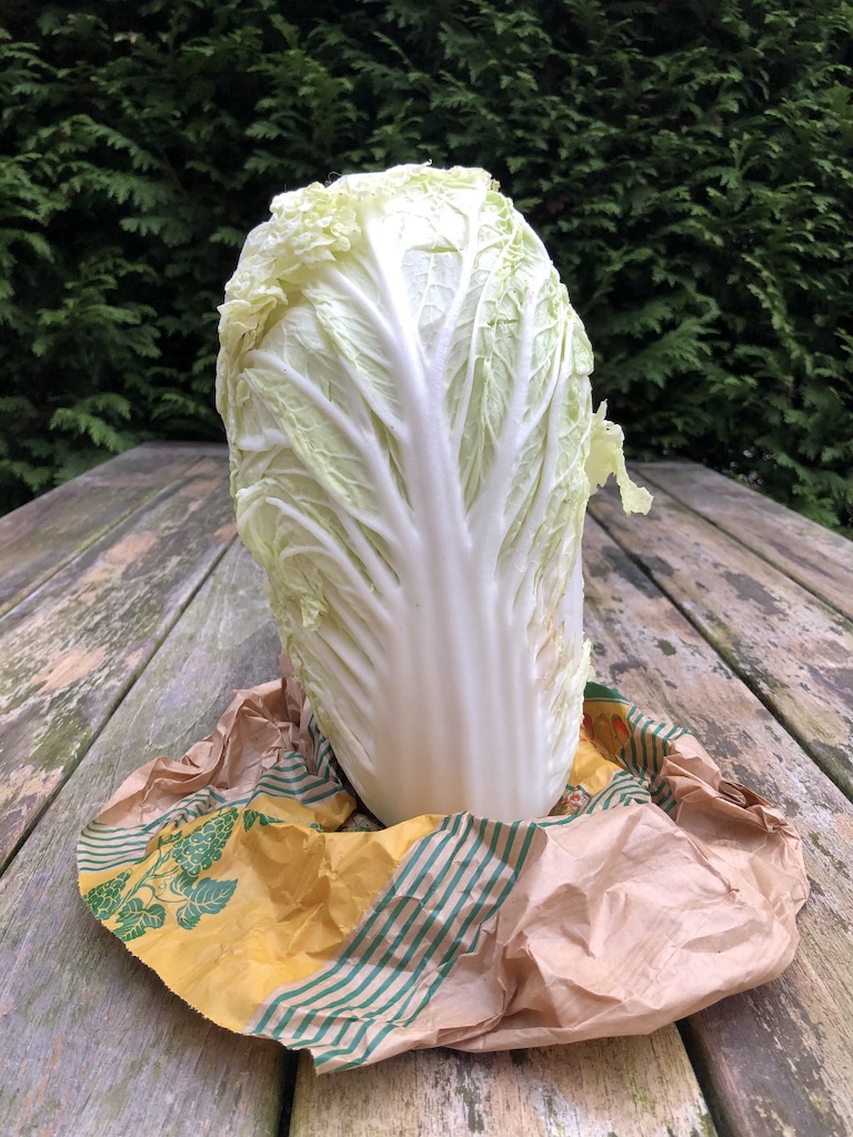 bio-chinese-kool-ommurde