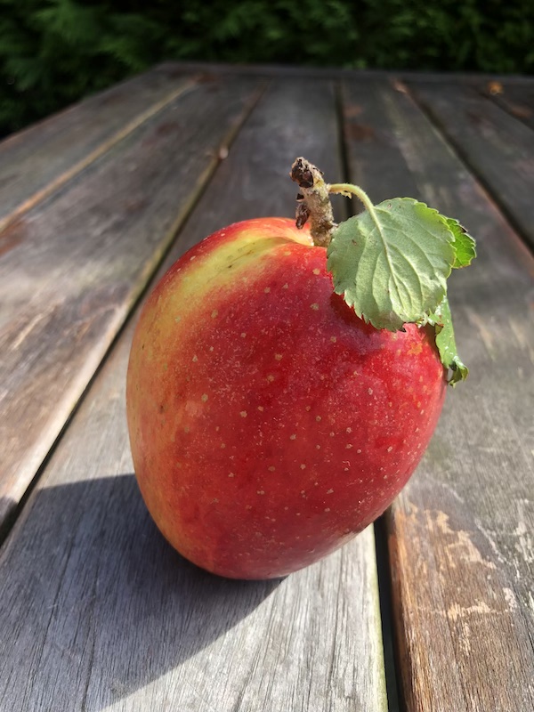 wellant-appel-christi