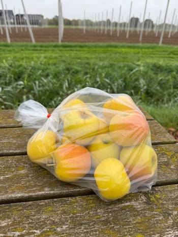 opals-appel-van-kat-angelino