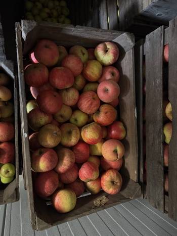 bio-appel-rodedijkmanszoet-geurts