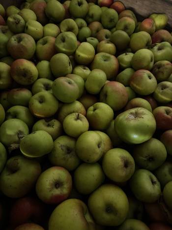 bio-appel-notaris-geurts