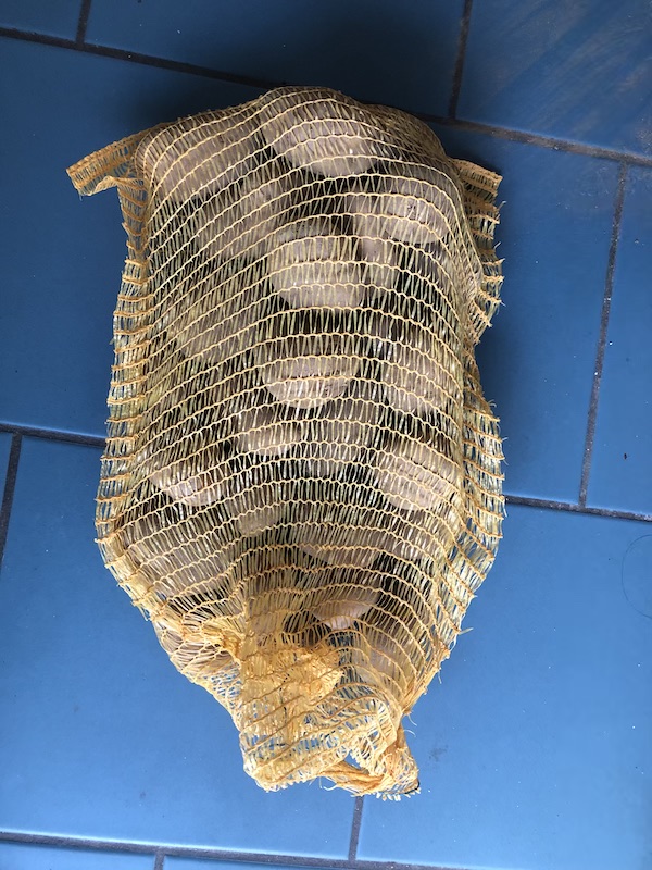 agria-aardappels-carlas