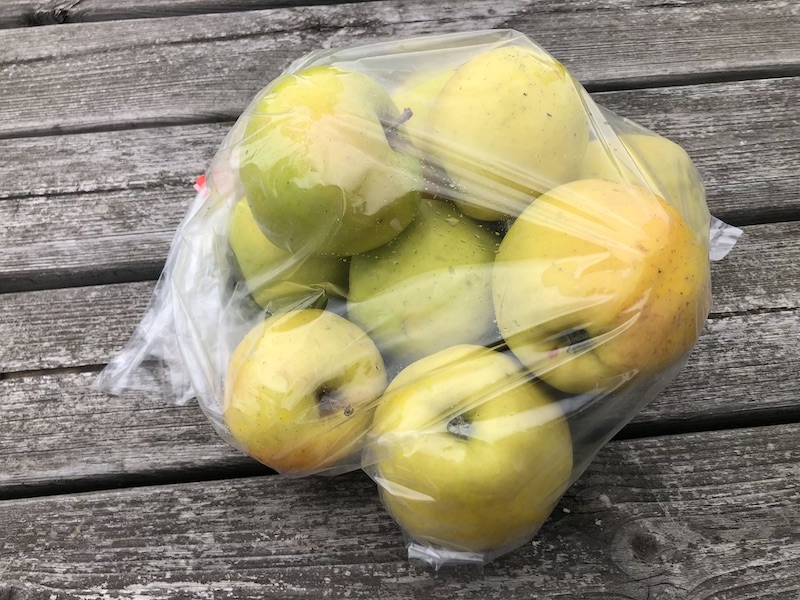 golden-delicious-appel-van-kat-angelino