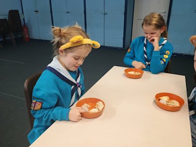 These Beavers seem rather uncertain about the food on their plate, particularly the steamed prawn har-gow, which has a texture they're not used to!