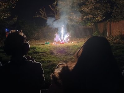 Two Scouts look at one of the fountain fireworks on display. They thought it looks like the fleur-de-lis symbol of Scouting.