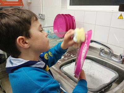 This Beaver is paying lots of attention to making sure his plate gets nice and clean.