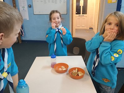 One of these Beavers has decided she doesn't like one of the food items, while another nibbles on a corner.