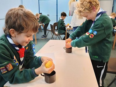 These cheeky Cubs seem to be having a grand time squeezing their lemons. 