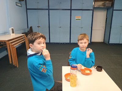 Two Beavers are trying foods from different countries. One has nearly finished his, while the other seems a little hesitant about his food.