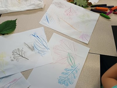 Three pages of leaf rubbings made by the Beavers. They've done a good job, using several colours on each page, with the veins and leaf edges showing clearly for each leaf. They've used several kinds of leaves to make the rubbings, including oak, maple, beech, birch, chestnut and some shrub leaves which weren't identified.