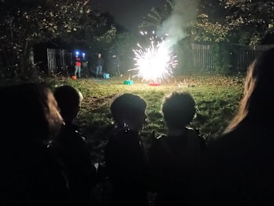 One Cub is exclaiming excitedly to his friend as the fountain firework crackles brightly.