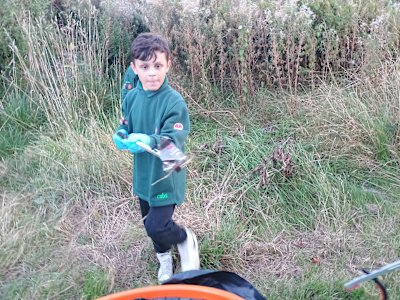 A young Cub raises a crushed drinks can in his litter picker, to drop it into the bag being carried by the volunteer adult, an expression of concentration on his face.