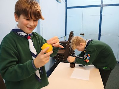 Having rolled their lemons, these Cubs are squeezing the juice out of them. They seem to be enjoying the process.