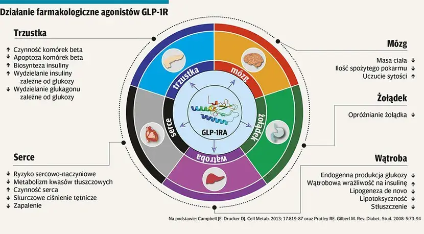 glp 1 analogi Analogi GLP-1 zyskały wysoką pozycję w zaleceniach ADA/EASD