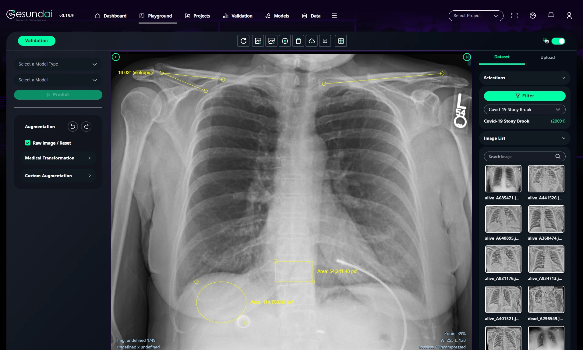 Gesund.ai - Highway to clinical grade AI