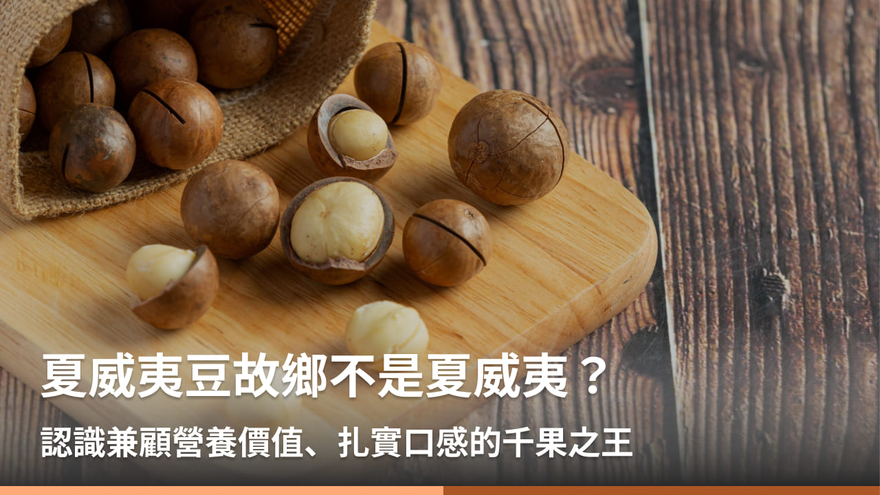 夏威夷豆故鄉不是夏威夷?認識兼顧營養價值、扎實口感的千果之王