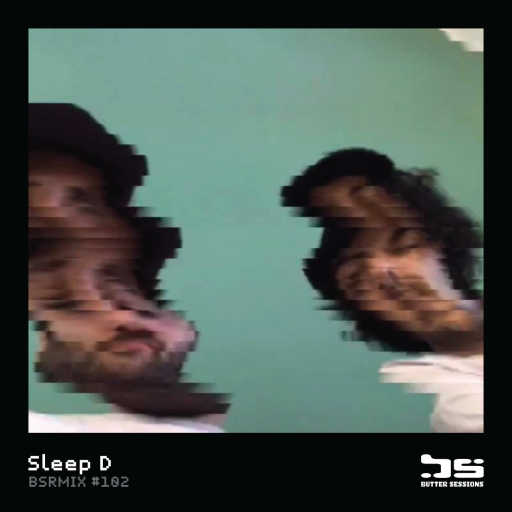 102 - Sleep D