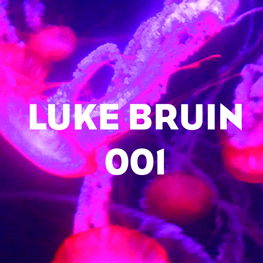 1 - Luke Bruin